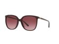 Michael Kors Anaheim Zonnebril MK 2137U 3344/8H