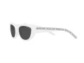 Michael Kors Rio Zonnebril MK 2160 3100/87