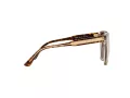 Michael Kors San Marino Zonnebril MK 2163 3102/7P
