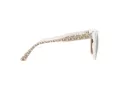 Michael Kors San Marino Zonnebril MK 2163 3103/13
