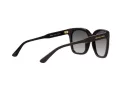 Michael Kors San Marino Zonnebril MK 2163 3500/8G