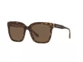 Michael Kors San Marino Zonnebril MK 2163 3917/73