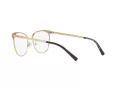 Michael Kors Nao Brillen MK 3018 1195