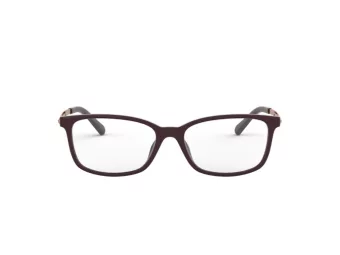 Michael Kors Telluride Brillen MK 4060U 3344