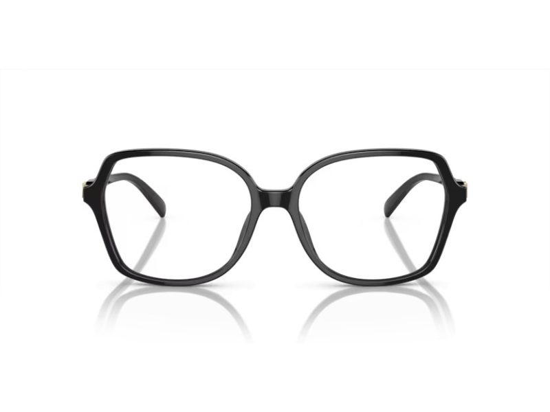Michael Kors Bernal Brillen MK 4111U 3005