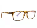 Computer glasses BLF73A