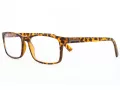 Computer glasses BLF73A