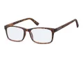 Computer glasses BLF73A