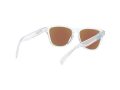 Oakley Frogskins Xs Zonnebril OJ 9006 15