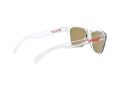 Oakley Frogskins Xs OJ 9006 19 53 Zonnebril