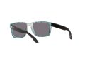 Oakley Holbrook Xs Zonnebril OJ 9007 15