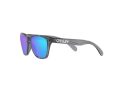 Oakley Frogskins Xxs Zonnebril OJ 9009 02