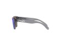 Oakley Frogskins Xxs Zonnebril OJ 9009 02