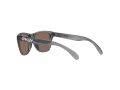 Oakley Frogskins Xxs Zonnebril OJ 9009 02