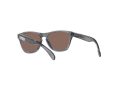 Oakley Frogskins Xxs Zonnebril OJ 9009 02