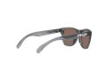 Oakley Frogskins Xxs Zonnebril OJ 9009 02