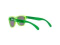 Oakley Frogskins Xxs Zonnebril OJ 9009 05