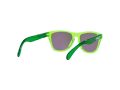 Oakley Frogskins Xxs Zonnebril OJ 9009 05