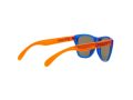 Oakley Frogskins Xxs Zonnebril OJ 9009 06
