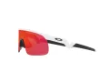 Oakley Resistor Zonnebril OJ 9010 04
