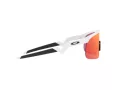 Oakley Resistor Zonnebril OJ 9010 04