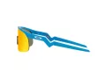 Oakley Resistor Zonnebril OJ 9010 05