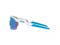 Oakley Resistor Zonnebril OJ 9010 07