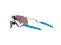 Oakley Resistor Zonnebril OJ 9010 07