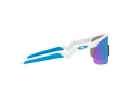 Oakley Resistor Zonnebril OJ 9010 07