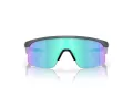 Oakley Resistor Zonnebril OJ 9010 16