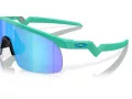 Oakley Resistor Zonnebril OJ 9010 19