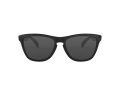 Oakley Frogskins Zonnebril OO 9013 24-306