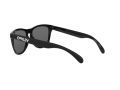 Oakley Frogskins Zonnebril OO 9013 24-306