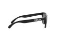 Oakley Frogskins Zonnebril OO 9013 24-306