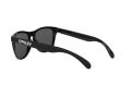Oakley Frogskins Zonnebril OO 9013 C4