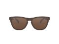 Oakley Frogskins Zonnebril OO 9013 C5