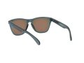 Oakley Frogskins Zonnebril OO 9013 F6