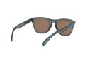 Oakley Frogskins Zonnebril OO 9013 F6