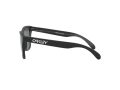 Oakley Frogskins Zonnebril OO 9013 F7