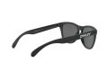 Oakley Frogskins Zonnebril OO 9013 F7