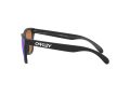 Oakley Frogskins Zonnebril OO 9013 H6