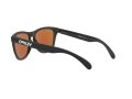 Oakley Frogskins Zonnebril OO 9013 H6