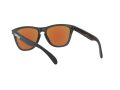 Oakley Frogskins Zonnebril OO 9013 H6