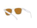 Oakley Frogskins Zonnebril OO 9013 H7