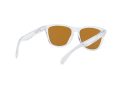 Oakley Frogskins Zonnebril OO 9013 H7