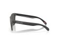 Oakley Frogskins Zonnebril OO 9013 M0