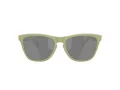 Oakley Frogskins Zonnebril OO 9013 M2