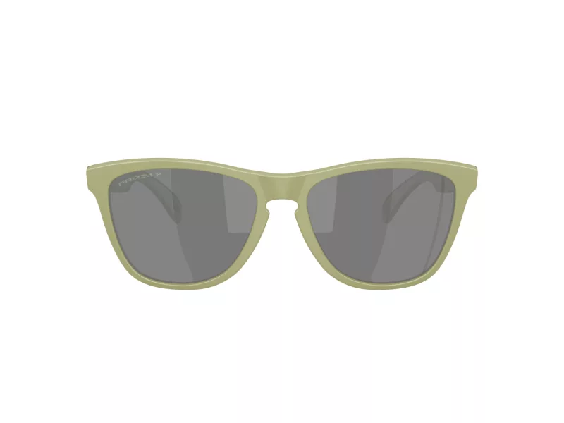 Oakley Frogskins Zonnebril OO 9013 M2