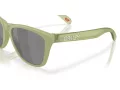 Oakley Frogskins Zonnebril OO 9013 M2