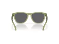 Oakley Frogskins Zonnebril OO 9013 M2